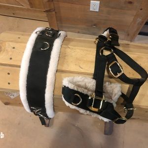 Lunge Cavesson and Surcingle